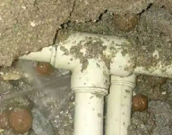 比如测漏水多少钱