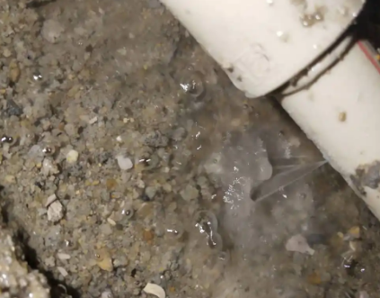 比如测漏水电话号码