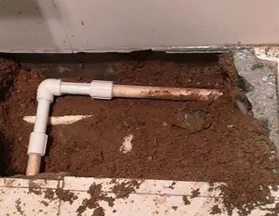 比如测漏水哪家好