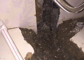 比如卫生间测漏水哪家好