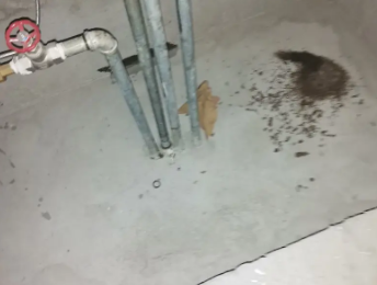 比如卫生间测漏水价格明细