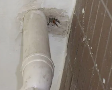 比如漏水检测哪家好